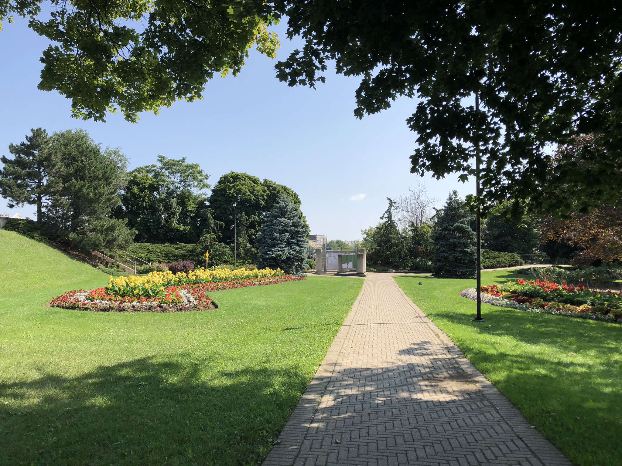 09-08-2018 Fordview (2).jpeg