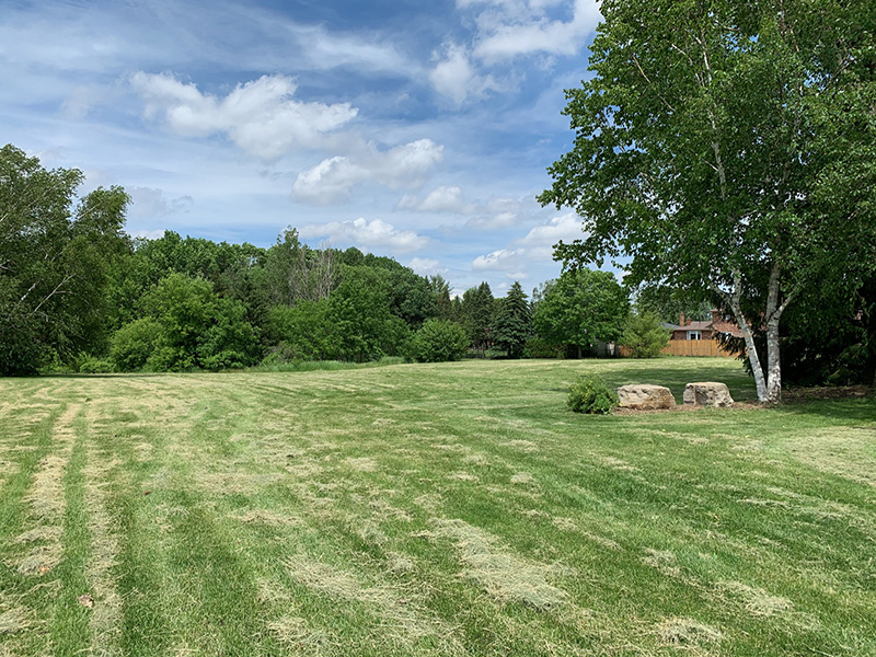 FriendshipPark-OpenSpace.jpg