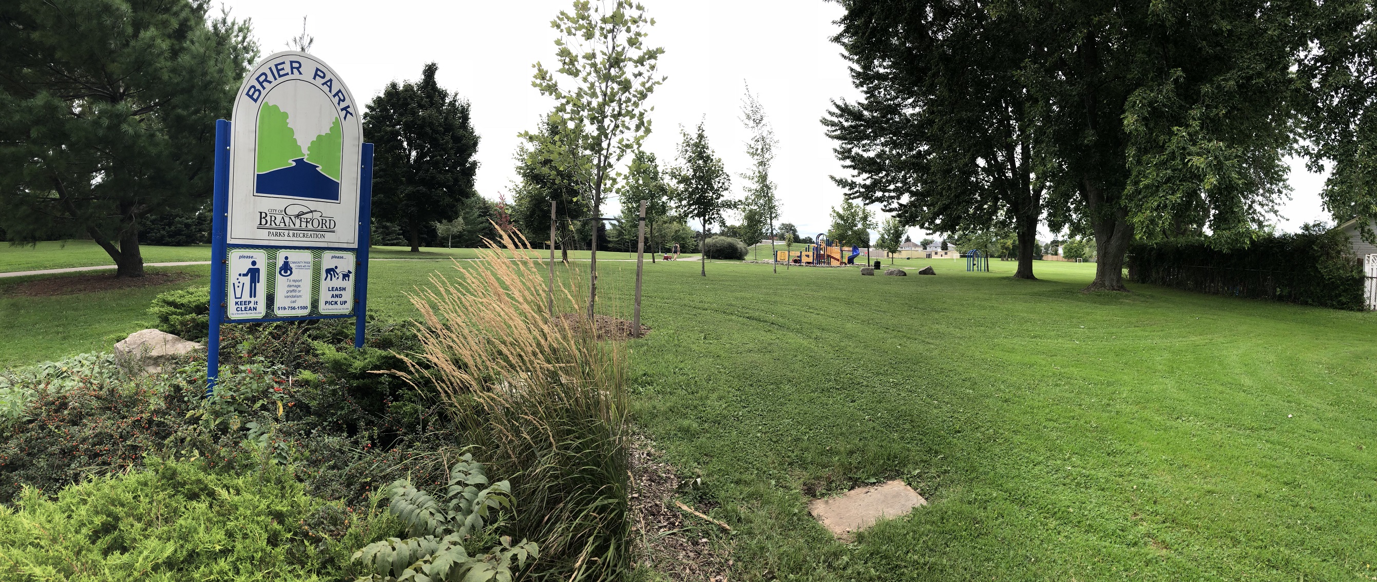 29-08-2018 Brier (2)resize.jpg