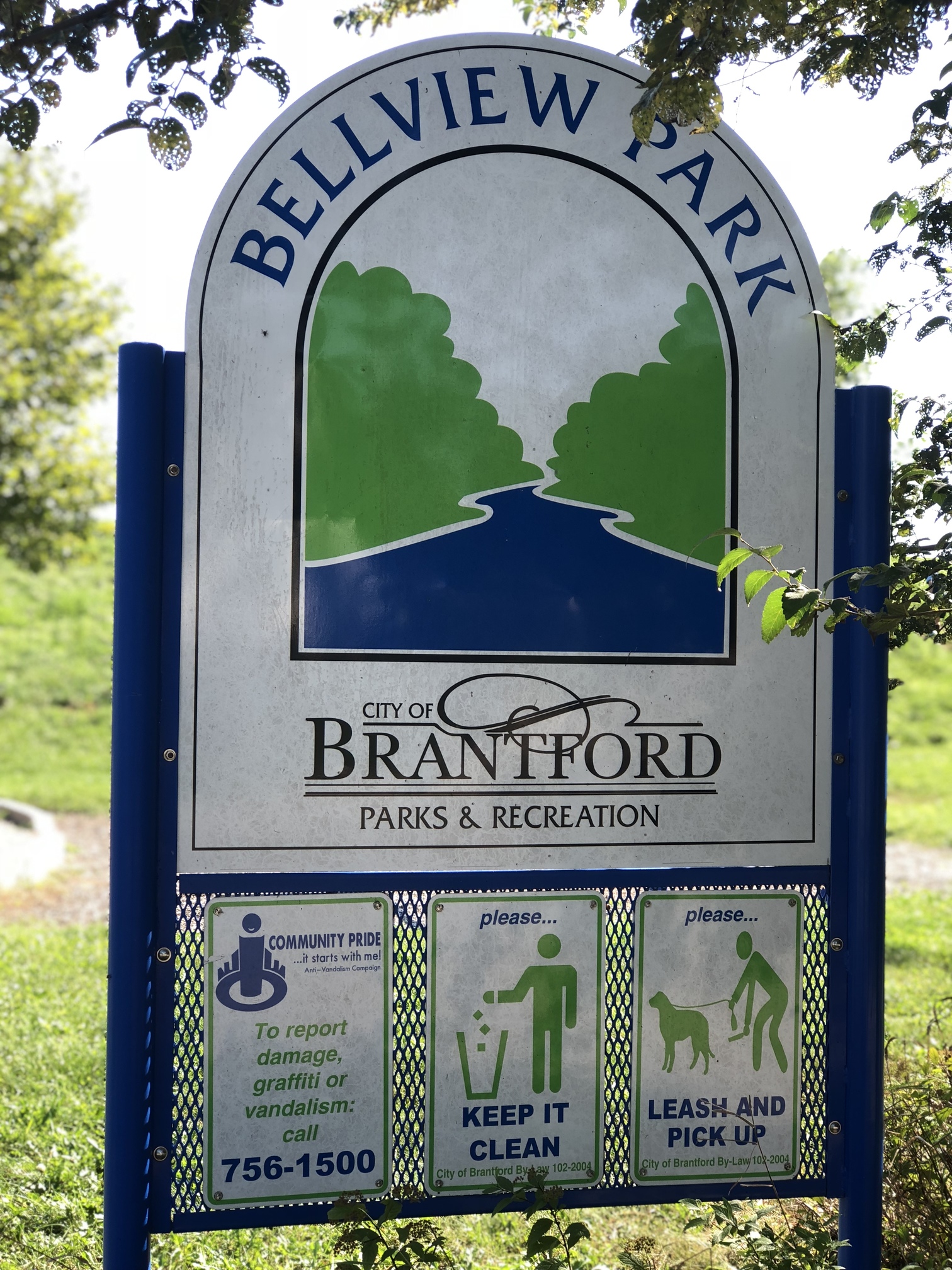 19-09-2018 Bellview 1JPG.jpg
