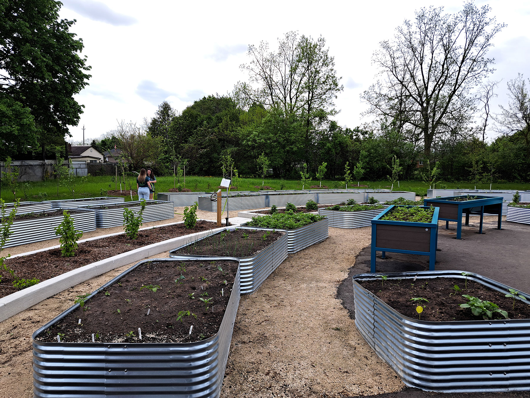 Woodman-Community-Garden_CROP[1].jpg