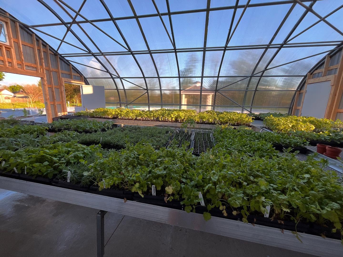Greenhouse Interior.jpg