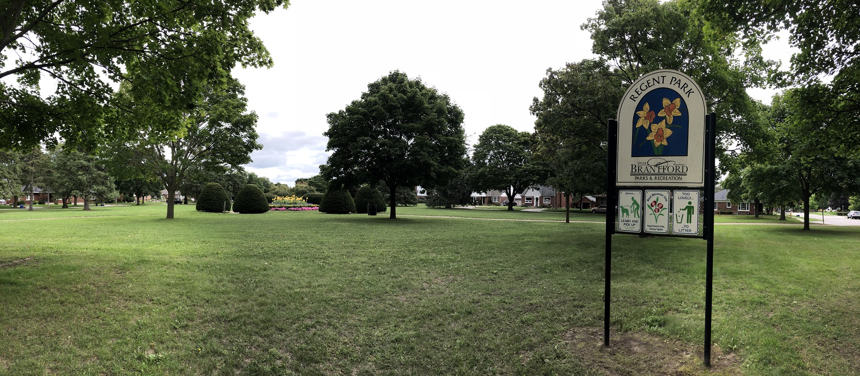 30-08-2018 Regent (1)resize.jpg