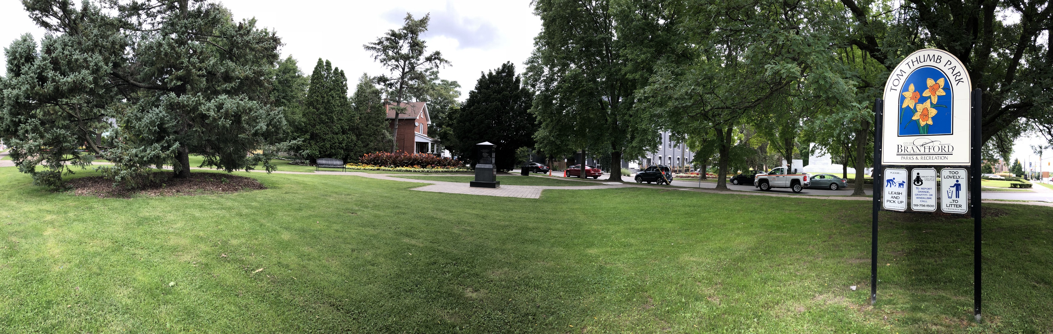 30-08-2018 Tom Thumb (2)resize.jpg