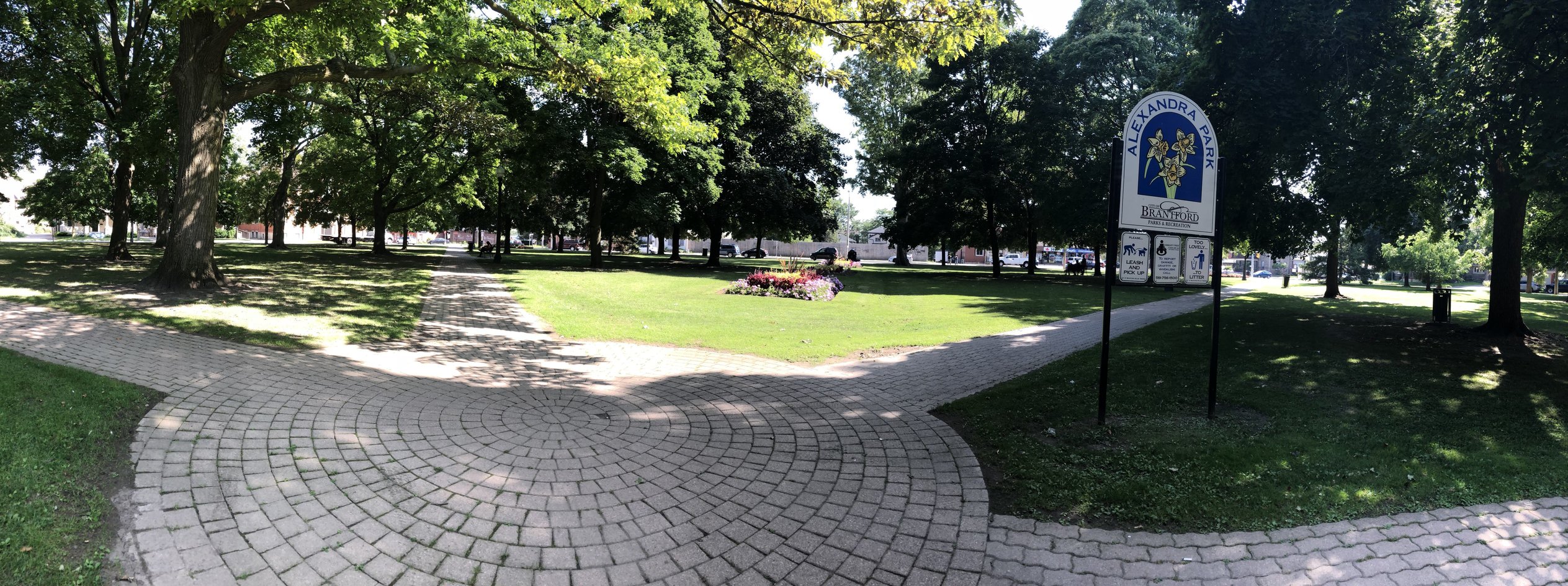 rsz_31-08-2018_alexandra_2.jpg