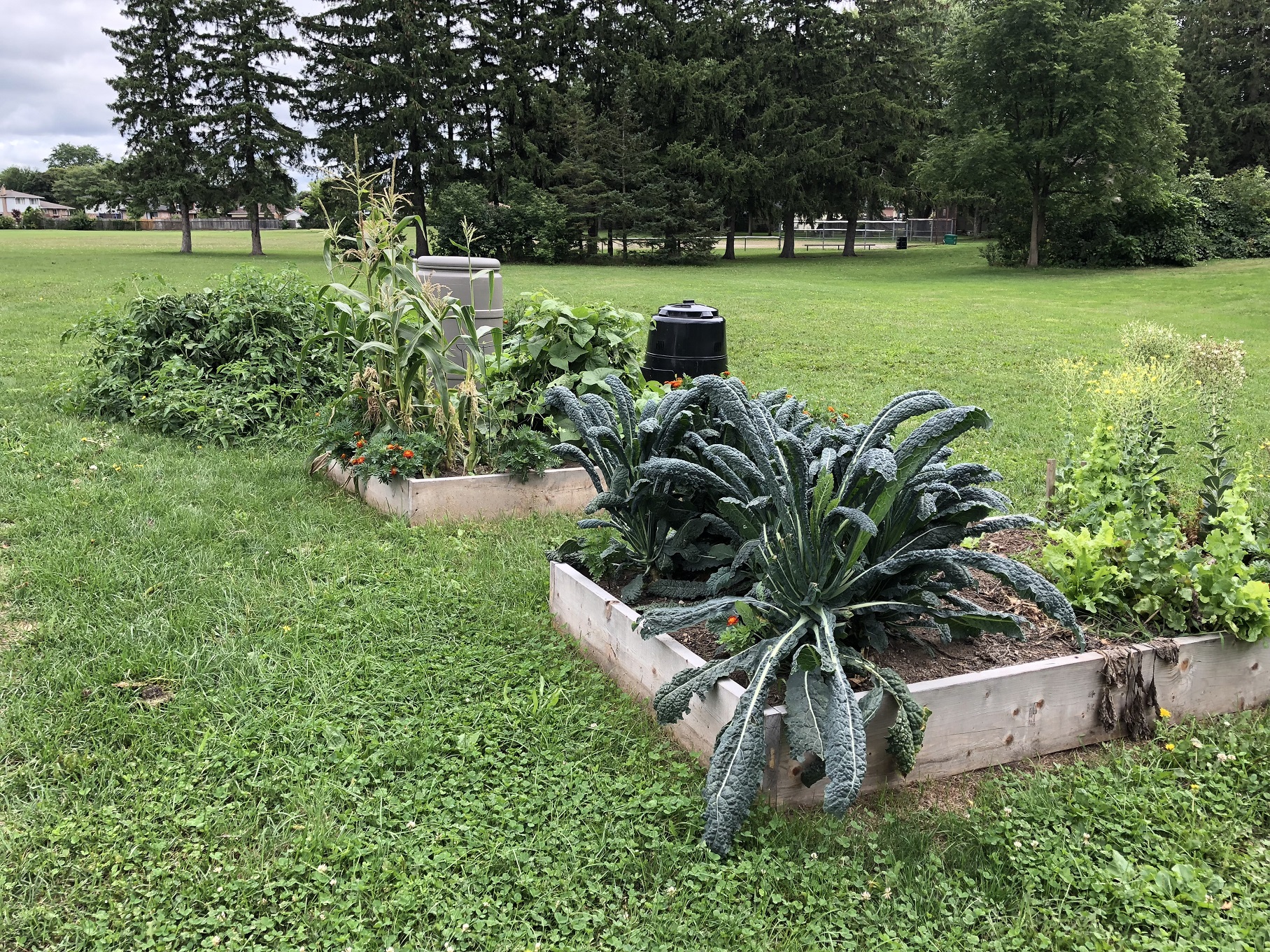 30-08-2018 Spring Gardens (3)resize.jpg