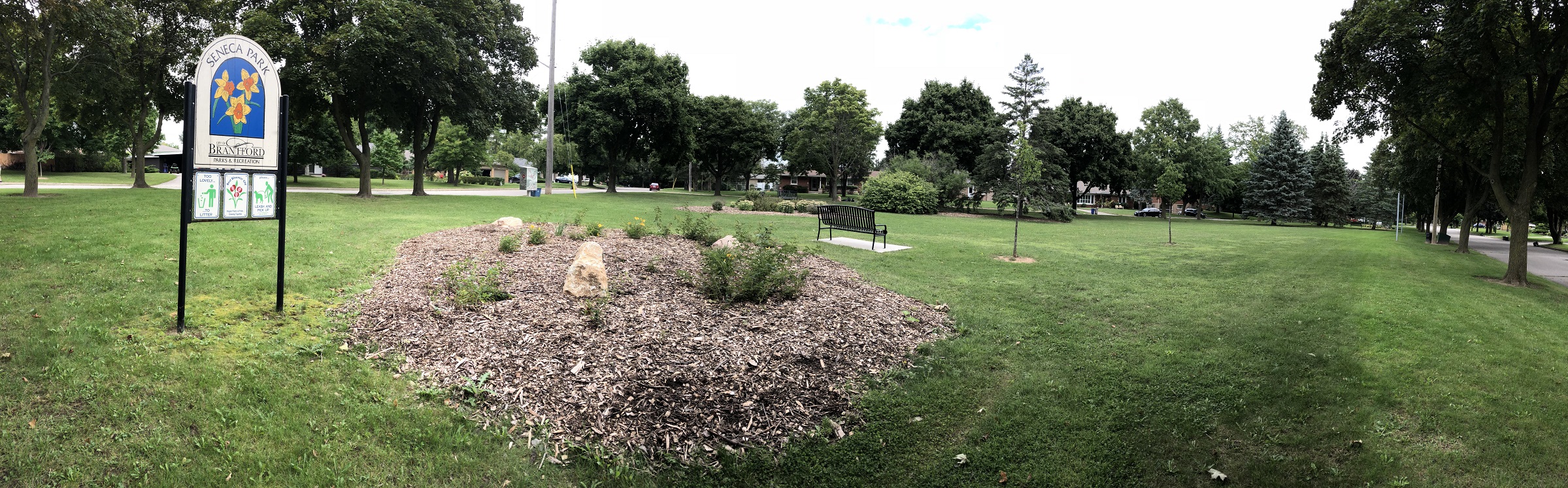 30-08-2018 Seneca  (2)resize.jpg