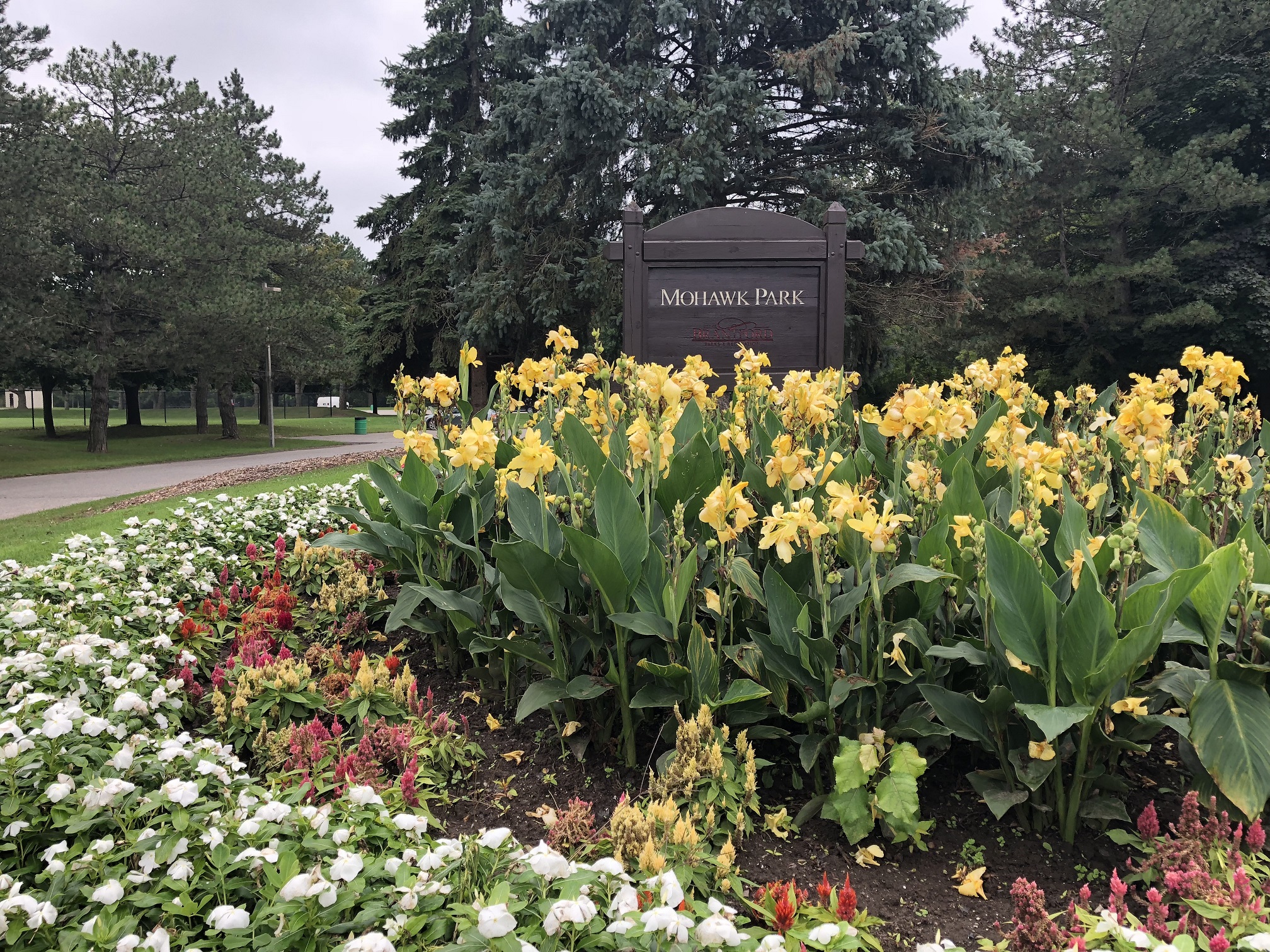 Mohawk Park.jpeg