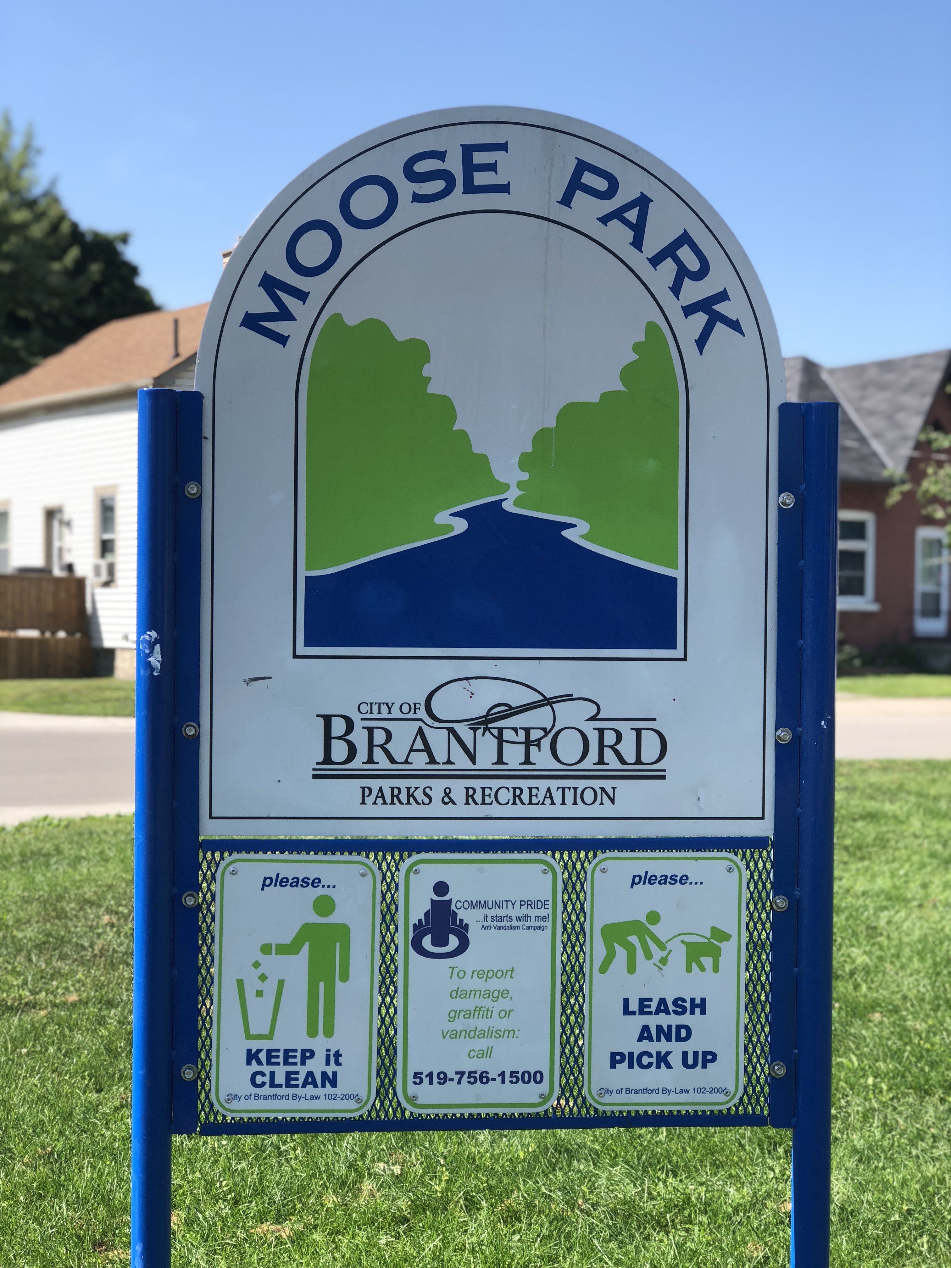 19-09-2018 Moose (1).JPG