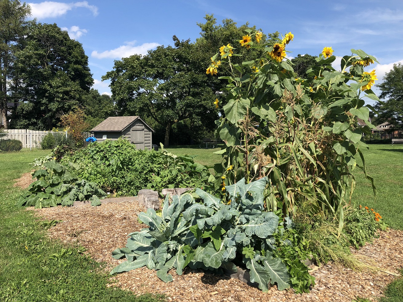 31-08-2018 Greenwood (3)resize.jpg