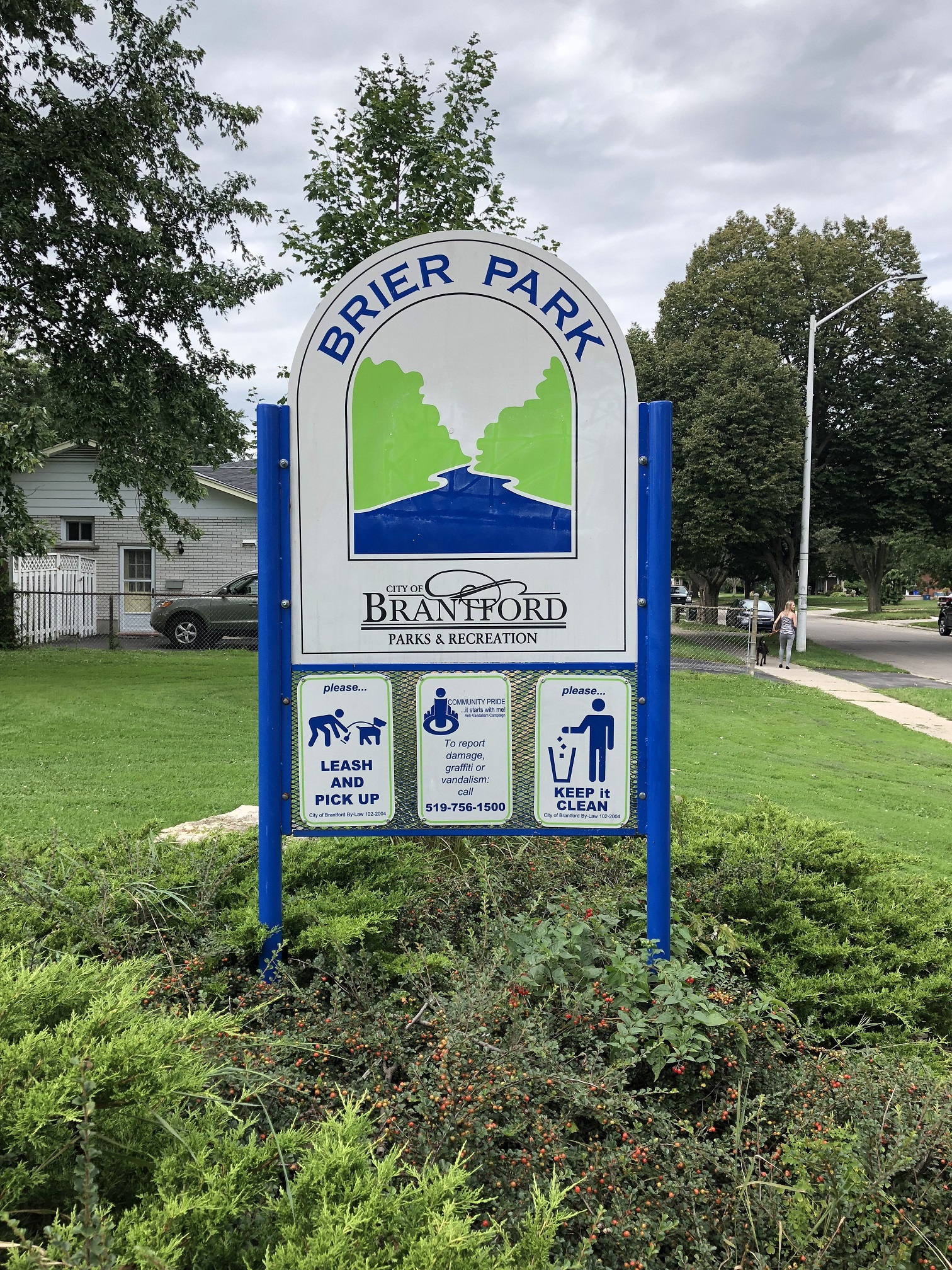 29-08-2018 Brier (1)resize.jpg