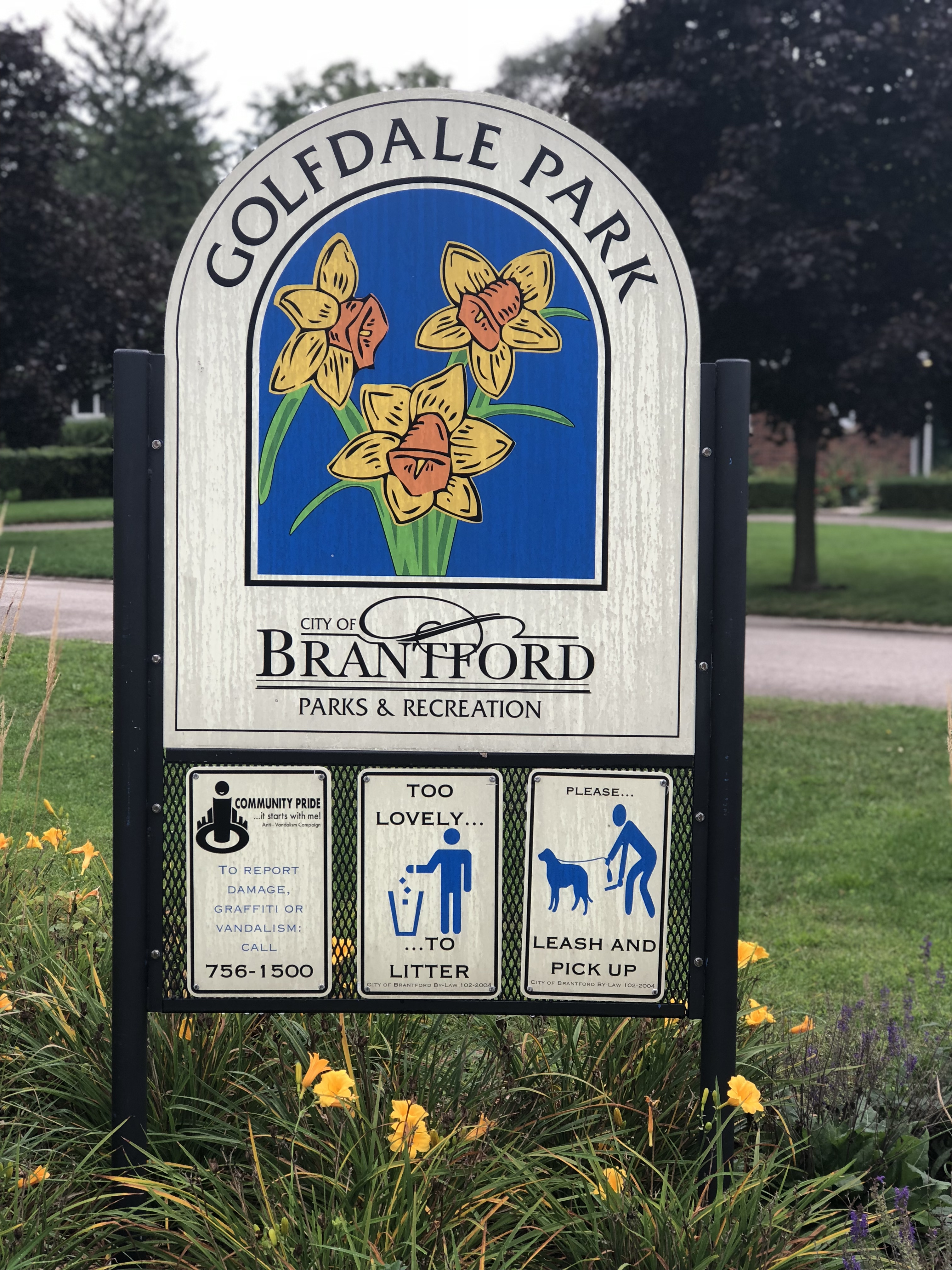 06-09-2018 Golfdale (1).JPG